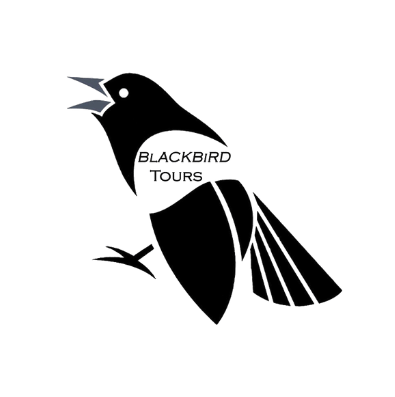 Black Bird Tours